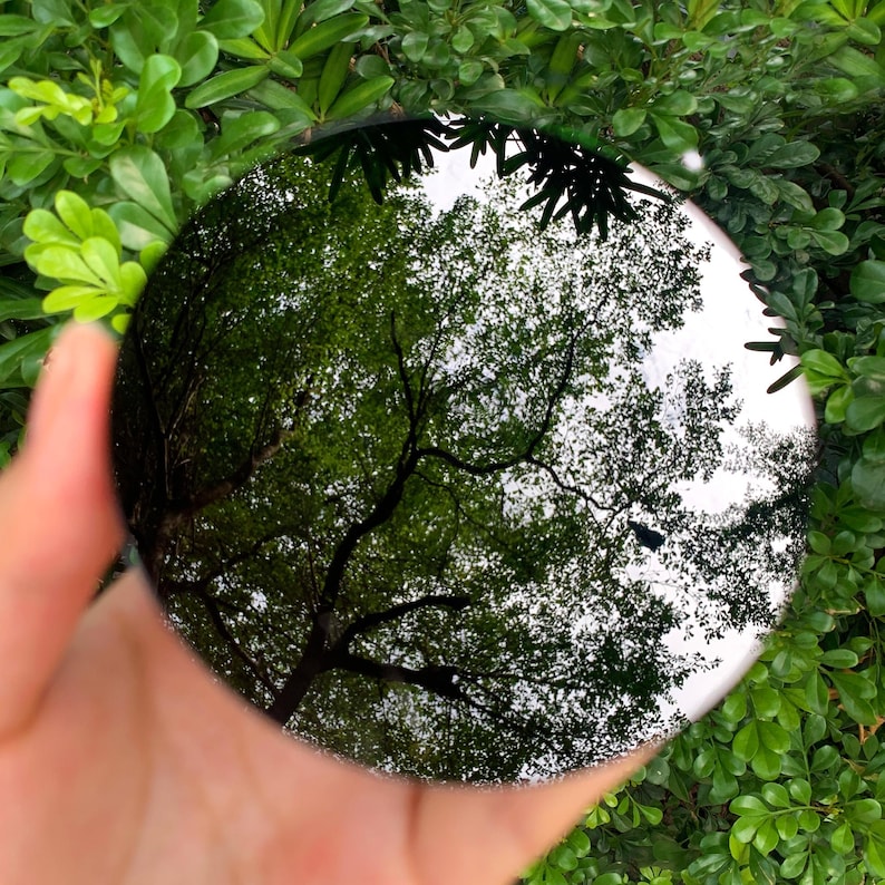 May include: A circular, highly reflective mirror disc that captures a clear, detailed reflection of overhead tree branches and green foliage, creating a sharp contrast between the metallic surface and the natural environment surrounding it.