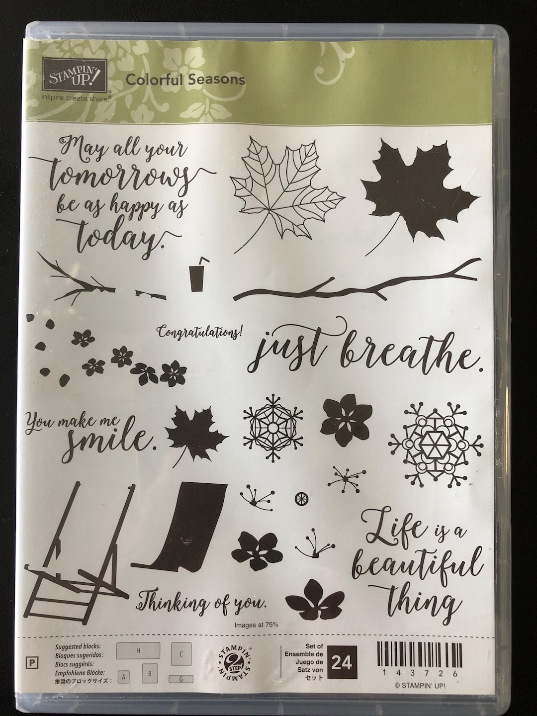 Stampin up Title Colorful Seasons Stamp and Die Set - Etsy