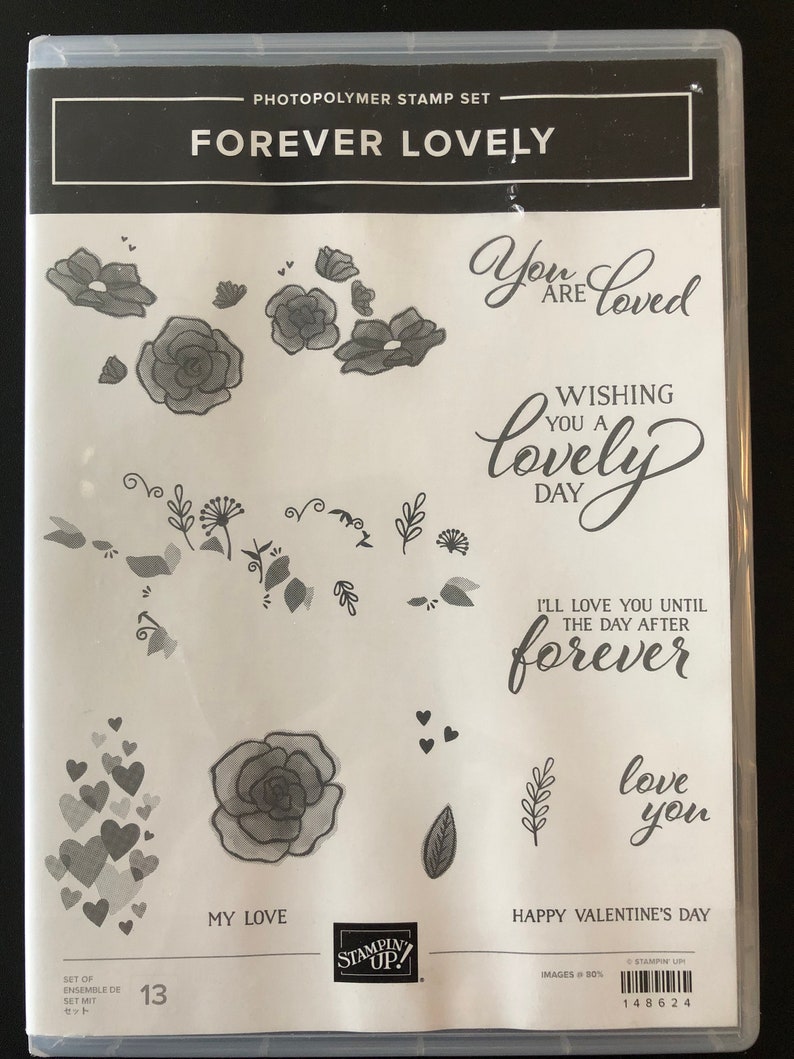 Stampin up Forever Lovely Stamp and Die Set, Flowers Edgelits (used) - Etsy