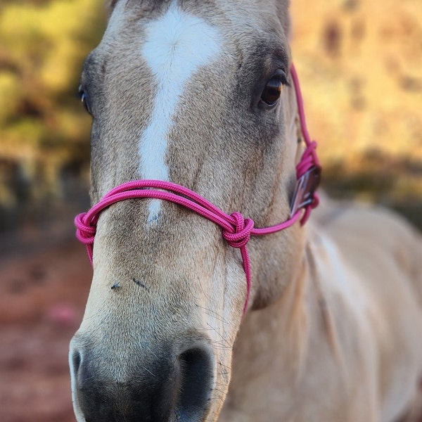 Custom ROPE HALTER (halter ONLY)