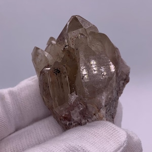 May include: A cluster of smoky quartz crystals, with multiple points and a translucent, brownish-grey colour. The crystals are held in a gloved hand, showcasing their natural formation and texture. The quartz is a natural mineral.