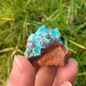 Op de afbeelding: Een close-up van een mineraalmonster met een levendige turquoise kristalformatie op een gelaagde rots. De rots toont banden van bruine en rood-oranje tinten, wat een opvallend contrast creëert. De achtergrond is wazig groen gras.
