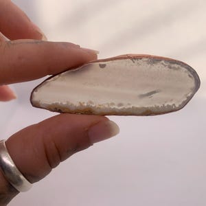 May include: An oval agate stone with a polished surface. The stone has a creamy white center, framed by a translucent grey and brown edge. The stone is held between fingers.