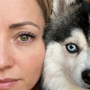Könnte beinhalten: Eine Nahaufnahme, die die Seite eines Gesichts mit einem grünen Auge und blondem Haar neben einem sibirischen Husky mit schwarz-weißem Fell und einem leuchtend blauen Auge zeigt. Die beiden Motive stehen nebeneinander und betonen ihre Merkmale.