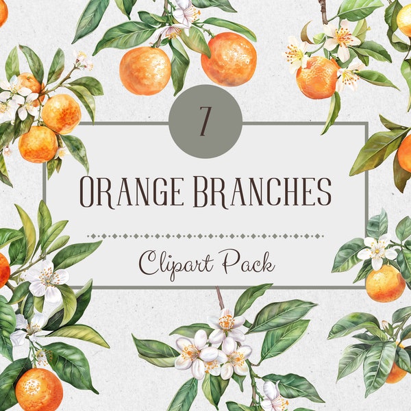 Watercolor Orange,Wedding Clipart, Clip Art Orange, Orange Fruit Png, Watercolor Citrus, Orange Fruit Clipart, Citrus Fruit Graphic,Flowers