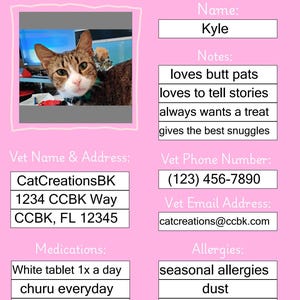 Cat Sitter Information Template (Pink & White)
