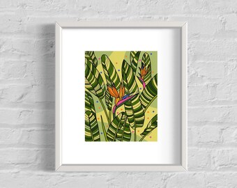 Strelitzia