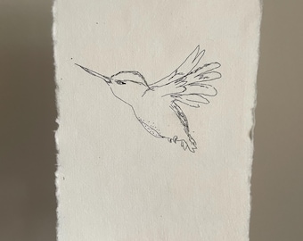 Hummingbird sketch art print. Pen and ink drawing. Original illustration. Minimalist. Mailed art prints (4x6)(5x7)