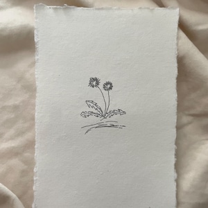 Stampa artistica senza cornice di uno schizzo di dente di leone. Disegno a penna e inchiostro. Illustrazione originale. Floreale. Minimalista. Stampe artistiche spedite (4x6) (5x7)