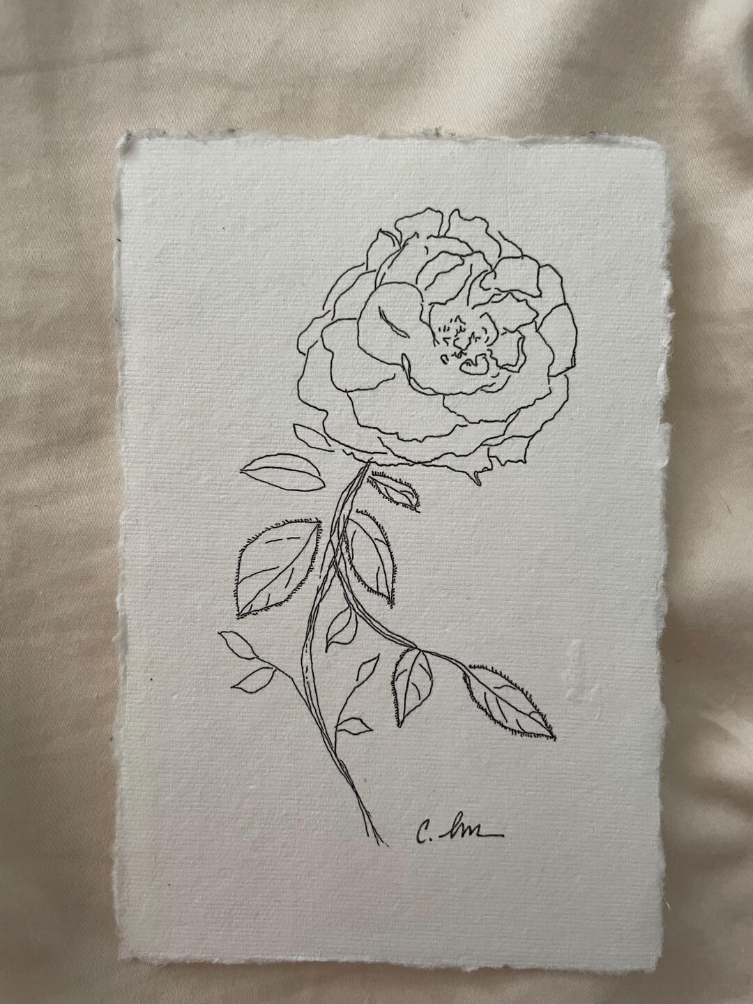 Climbing Rose Sketch Art Print, Pen and Ink Floral Illustration (5x7 ...