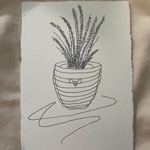 May include: Black and white line drawing of a potted plant with a bee design. The plant has long, thin leaves and is in a striped pot. The drawing is on a piece of textured paper.