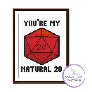 Peut inclure: Une œuvre d'art au point de croix encadrée, avec le texte "YOU'RE MY NATURAL 20" et un dé D20 rouge avec le chiffre 20. L'œuvre est encadrée dans un cadre marron et comprend un logo Dorky Dinosaur.