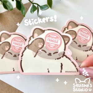 Please Handle With Love FRAGILE Sticker | Cat Meme Stickers | Kawaii/Funny/Cute Stickers | Laptop/Water Bottle/Car Stickers