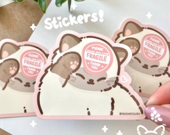 Please Handle With Love FRAGILE Sticker | Cat Meme Stickers | Kawaii/Funny/Cute Stickers | Laptop/Water Bottle/Car Stickers