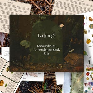 May include: A collection of educational materials about ladybugs, including illustrated cards, informational sheets, and a central poster with the title "Ladybugs: Backyard Bugs: An Enrichment Study Unit." The materials are arranged on a natural, textured surface.