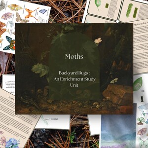 Peut inclure: Ensemble de matériel pédagogique sur les papillons de nuit, comprenant des illustrations de diverses espèces et des fiches d'information. L'image centrale affiche le titre "Moths: Backyard Bugs: An Enrichment Study Unit."