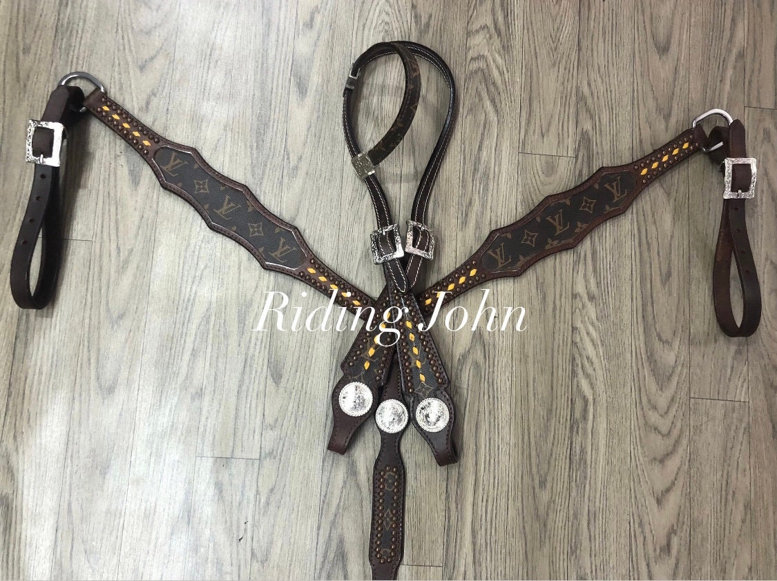 Louis Vuitton halter!! Hint hint .. Shay ;)  Horse tack, Barrel racing  tack, Barrel racing saddles