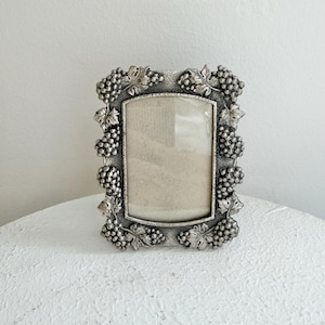 May include: A rectangular silver-toned picture frame with a grape cluster design. The frame has a glass insert and is decorated with detailed grape bunches and leaves around the edges. The frame is displayed on a white surface.