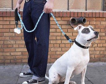 Glow-in-the-Dark Dog Leash for Safety Walks