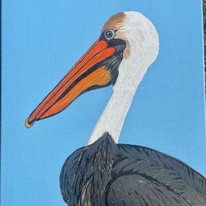 Pelican Pete