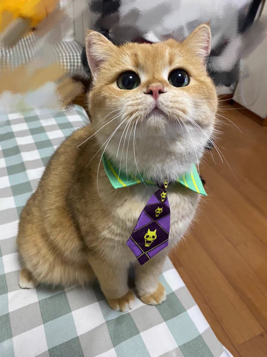yoshikage kira cat tie