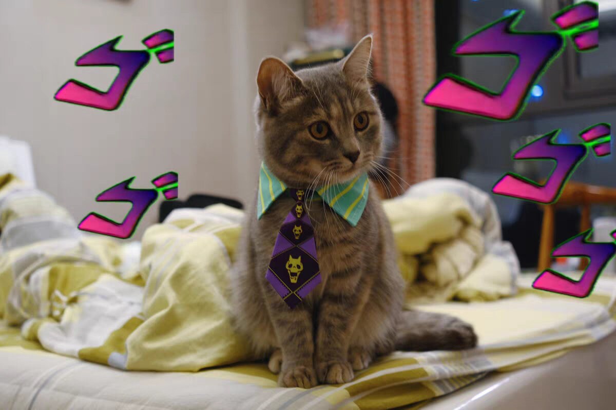 yoshikage kira cat tie
