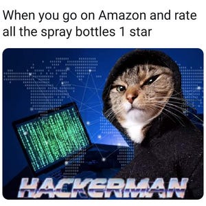 May include: A tabby cat wearing a black hoodie and a serious expression, sitting in front of a laptop with green code on the screen. The text "HACKERMAN" is written in a retro, neon-style font at the bottom of the image.