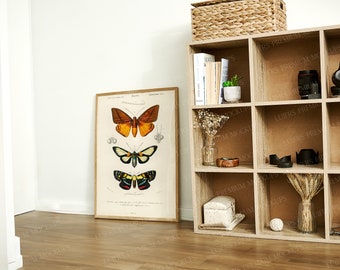 Vertical Frame Mockup: Thin Wood, DIN A (PSD & JPEG)