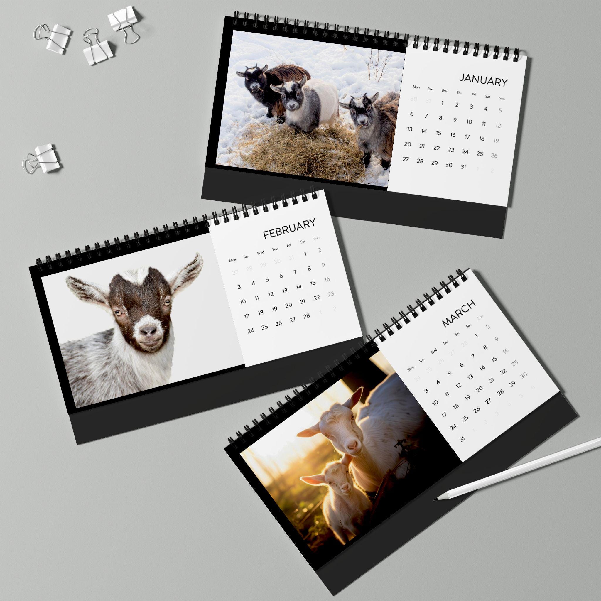 Desk Calendar, 2025 Simplex Goat Year Calendar, Cute Goat Monthly