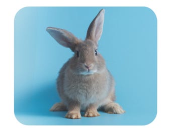 Adorable Bunny Mouse Pad – Colorful Rabbit Desk Decor