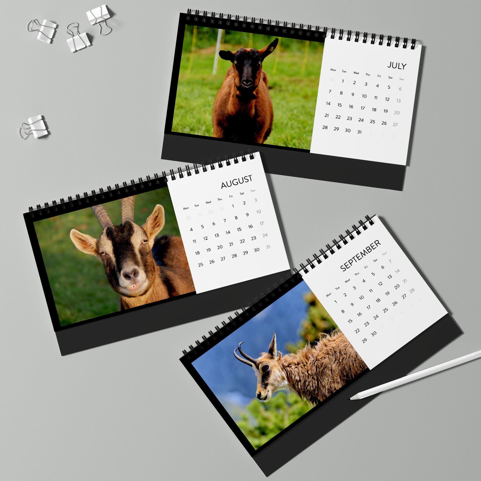 Desk Calendar, 2025 Simplex Goat Year Calendar, Cute Goat Monthly