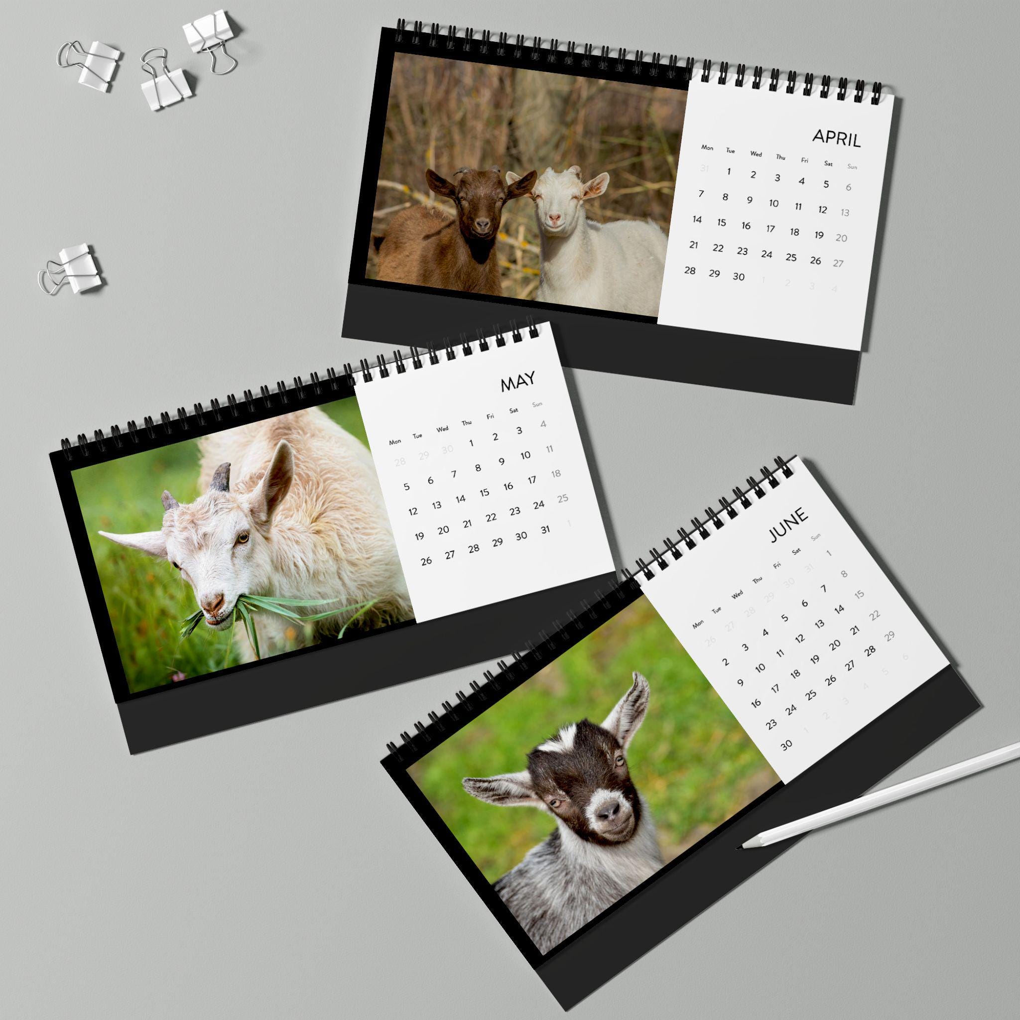Desk Calendar, 2025 Simplex Goat Year Calendar, Cute Goat Monthly