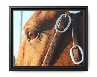 Horse Eye Canvas Art: Wood Framed Equine Print