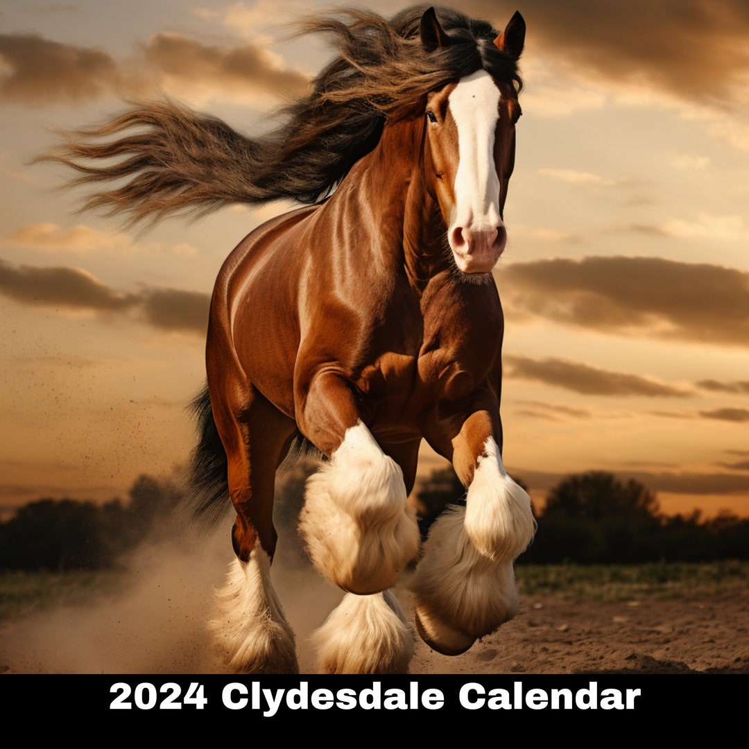 Clydesdale Calendar, Clydesdale, Clydesdale Gift, Clydesdale Horse