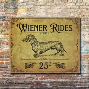 A funny metal decor sign on a colorful brick wall.