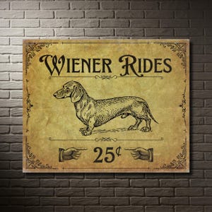 A funny metal decor sign on a white brick wall with sunlight.
