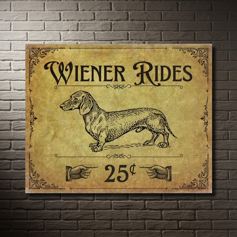A funny metal decor sign on a white brick wall with sunlight.