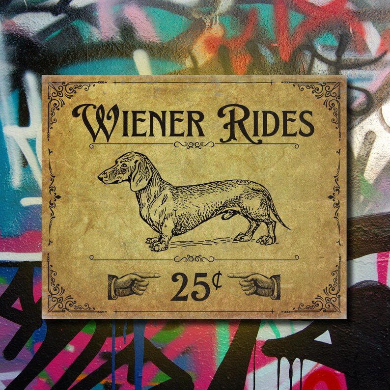 A funny metal decor sign on a colorful wall full of graffitti.