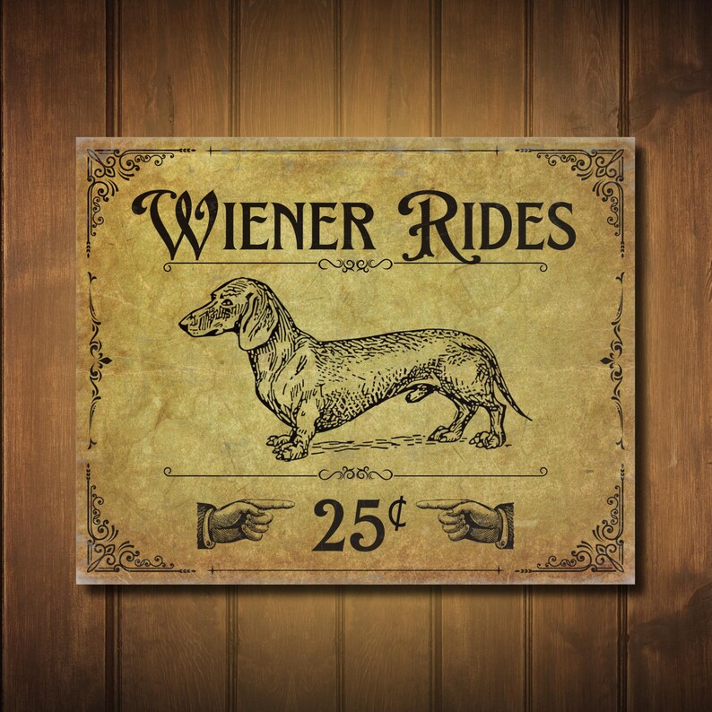 A funny metal decor sign on a wood panel wall.