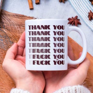 Funny Thank You/Fuck You Coffee Mug - Offensive Humor Gift