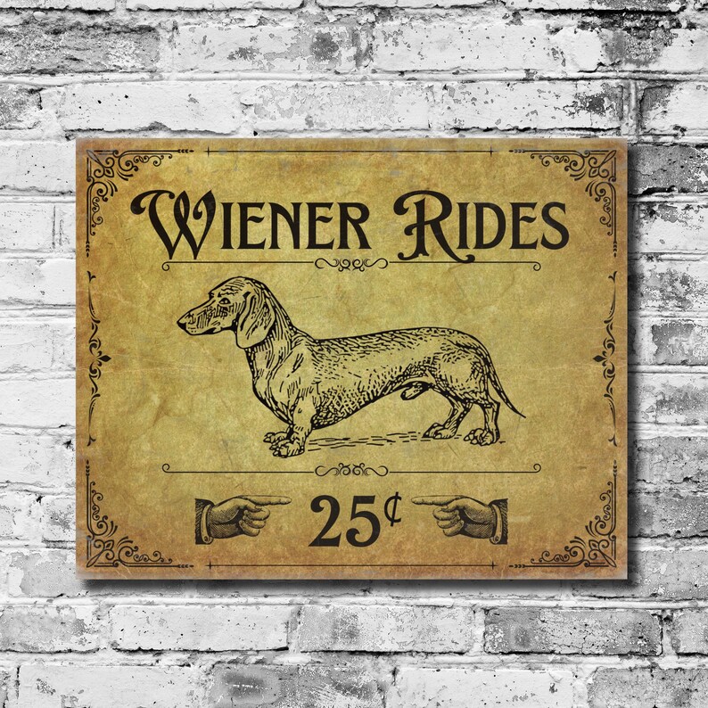 A funny metal decor sign on a white and gray brick wall.
