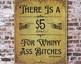 5 Dollar Charge For Whiny Ass Bitches - Vintage Wall Art Sign - Funny Adult Home Decor - Unique Bar Decor - Humorous Art Gift - Mancave Gift