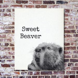 May include: A black and white print featuring a beaver with the text "Sweet Beaver" in a bold, typewriter-style font. The beaver is in the lower right corner, with its head and part of its body visible.