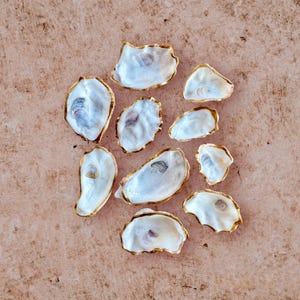 Peut inclure: Dix coquilles d'huîtres blanches avec une bordure dorée. Les coquilles sont disposées en cercle sur un fond brun clair.