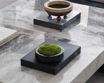 Luxury Plant Marble Moss Pot