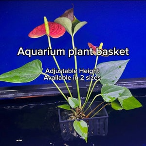 Aquarium Plant Basket | Adjustable Height