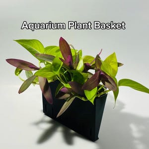 Aquarium Plant Basket
