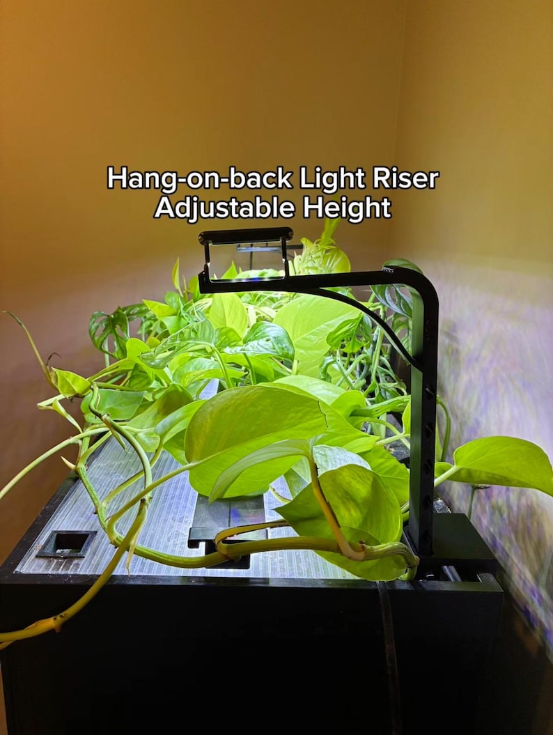May include: A black hang-on-back light riser with adjustable height, illuminating lush green plants. The text "Hang-on-back Light Riser Adjustable Height" is displayed above the light. The plants are vibrant and healthy, creating a natural aesthetic.