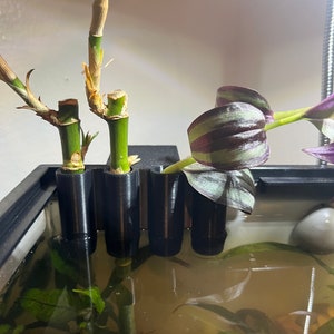 Aquatic Bamboo/Vine Planter  (Aquarium, Aquarium Decor, Aquarium Accessories, Fish tanks, Planters)