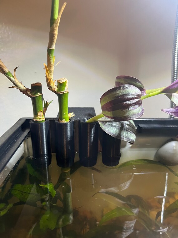Aquatic Bamboo/Vine Planter  (Aquarium, Aquarium Decor, Aquarium Accessories, Fish tanks, Planters)